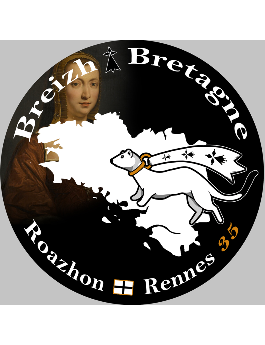Roazhon Rennes - 20x20cm - Sticker/autocollant