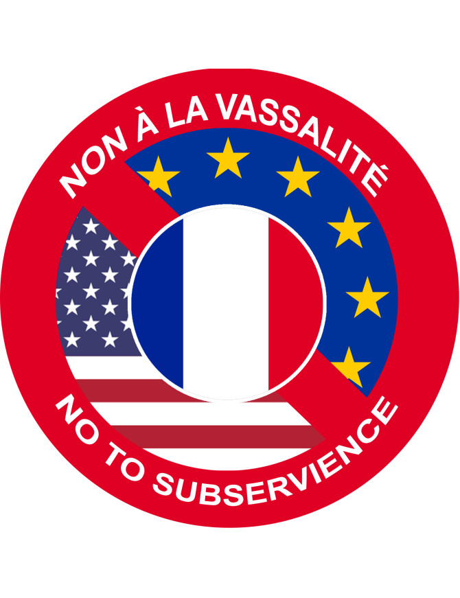 Non à la vassalité de la France - 5x5cm - Sticker/autocollant