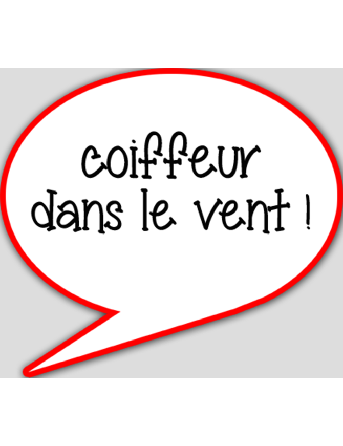 coiffeur dans le vent - 15x13.5cm - sticker/autocollant