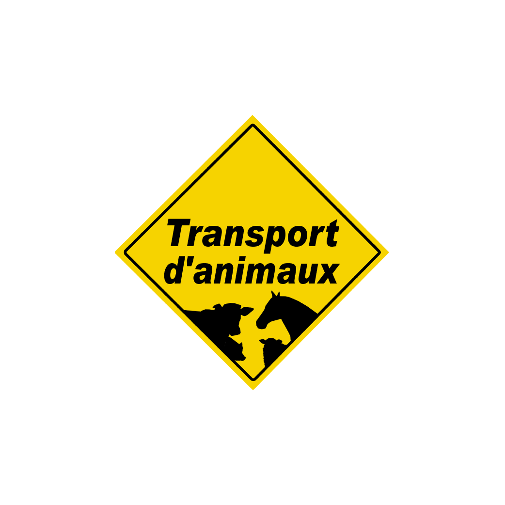 Transport d'animaux - 20x20cm - Sticker/autocollant