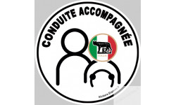 conduite accompagnée Italien louve - 15cm - Sticker/autocollant