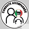 conduite accompagnée Italien louve - 15cm - Sticker/autocollant